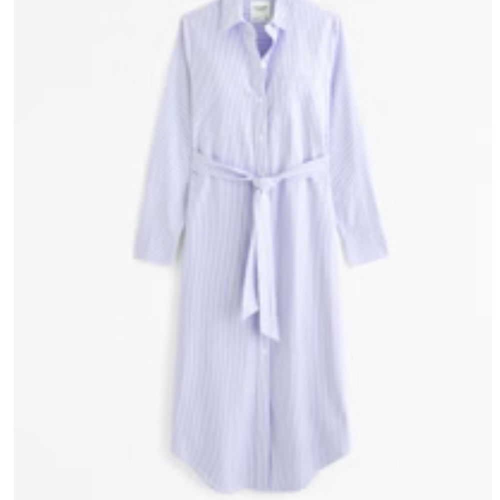 Abercrombie & Fitch Blue Striped Shirt Dress - Picture 3 of 3